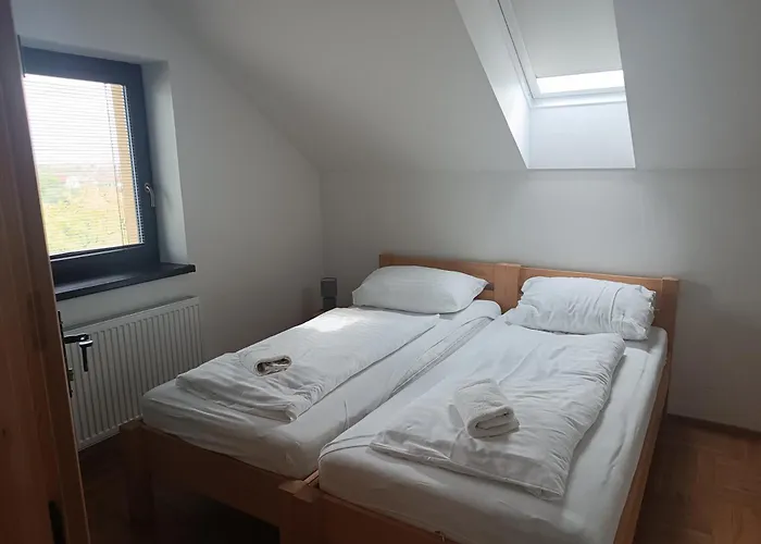 Hébergement de vacances Purynky Velké Bílovice